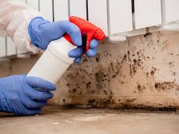 Best Residential Mold Inspection & Testing  in Parkland, WA